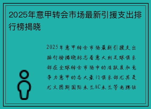 2025年意甲转会市场最新引援支出排行榜揭晓