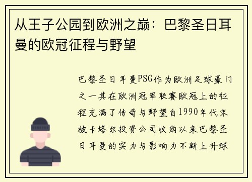 从王子公园到欧洲之巅：巴黎圣日耳曼的欧冠征程与野望